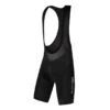 Endura FS260-PRO Cuissard 2 Endura FS260-PRO Cuissard -Vêtements De Cyclisme endura fs260 pro cuissard bib pants e7117 3 33630